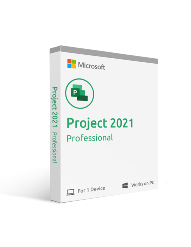 Microsoft Project Professionnel 2021