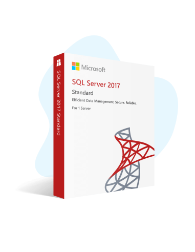 Microsoft SQL Server 2017 Standard 24 Cœurs