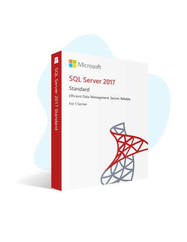 Microsoft SQL Server 2017 Standard 24 Core