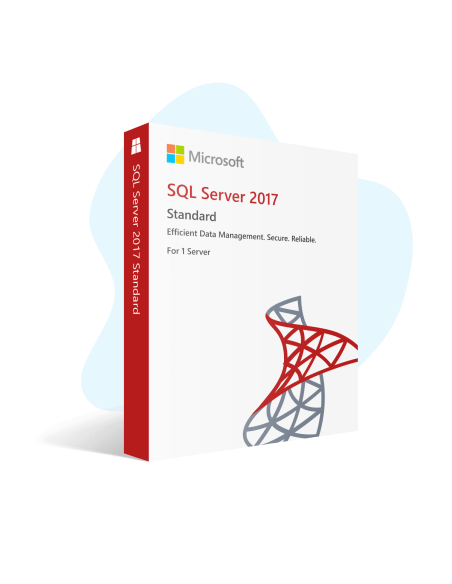 Microsoft SQL Server 2017 Standard 24 Core