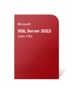 Microsoft SQL Server 2022 Standard 50 brukerlisenser (CAL)