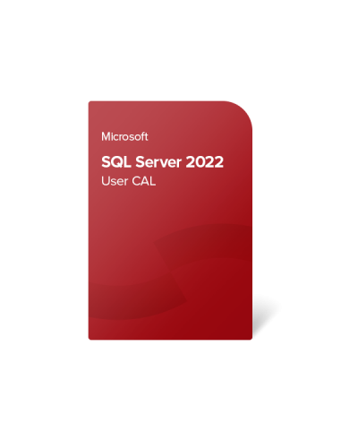 Microsoft SQL Server 2022 Standard 50 User CAL