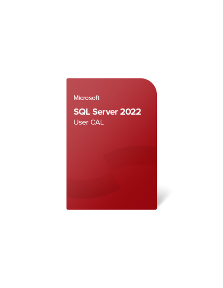 Microsoft SQL Server 2022 Standard 50 brukerlisenser (CAL)