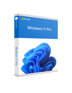 Microsoft Windows 11 Pro