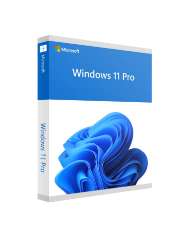 Microsoft Windows 11 Pro