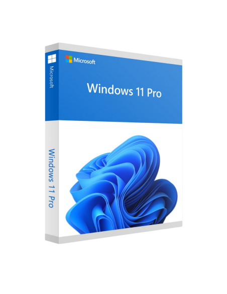 Microsoft Windows 11 Pro