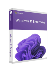 Microsoft Windows 11 Enterprise