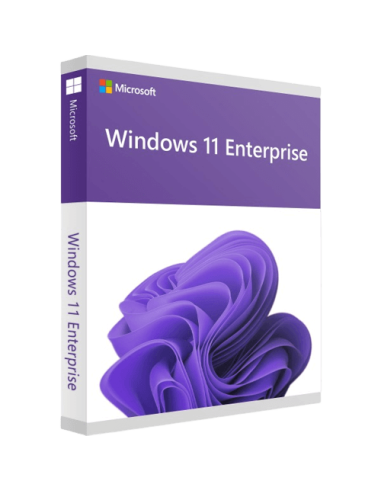 Microsoft Windows 11 Enterprise