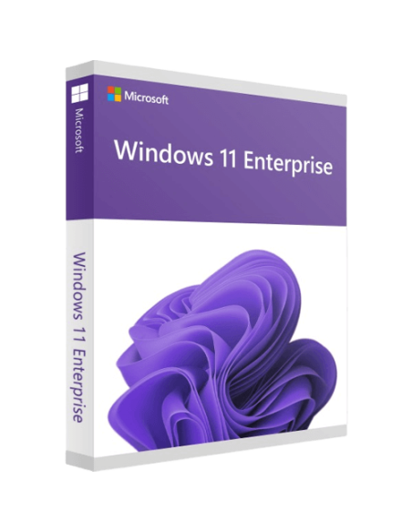 Microsoft Windows 11 Enterprise