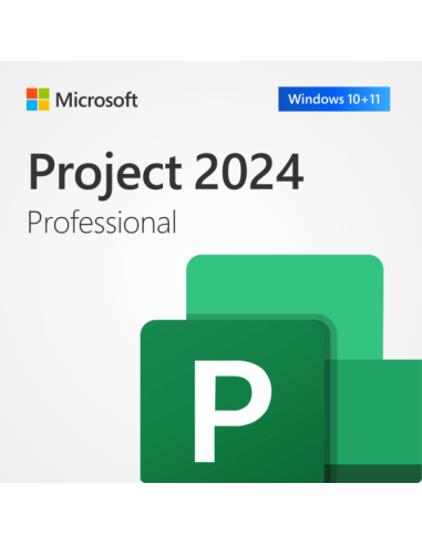 Microsoft Project 2024 Profesional